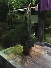 賀正