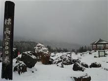 平成二十九年 賀正
