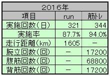 ２０１６年ランニング＆筋トレまとめ