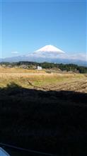 大晦日 静岡へ