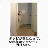 やっぱり愛あるね。。・・(* ...