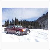 W１２４メルセデスベンツ５０ ...