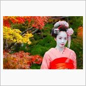 相撲・芸妓・抹茶・・・日本人 ...