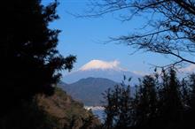 年の初めは，お目出度く