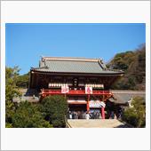 今年は良い事が有りそうな予感 ...