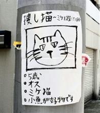 おはこんにばんは５０３