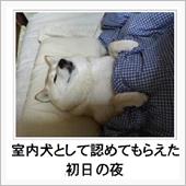 新春あけましておめでもっこ。 ...