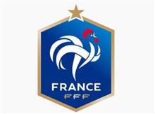 2017年酉年とフランスの関係