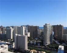 今年初の  ハイドラレポート in Hawaii 