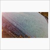 氷点下５℃の朝