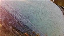 氷点下５℃の朝
