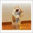 新年早漏 ﾏﾁｶﾞｲ そうそう･･･