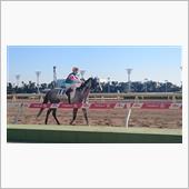 年忘れ　大井競馬　2016