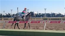 年忘れ　大井競馬　2016