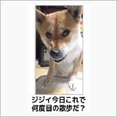 愛は疲れる。。（;￣ー￣A  ...
