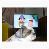 燃費報告（ワゴンR)とテレビ ...