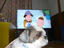 燃費報告（ワゴンR)とテレビと犬