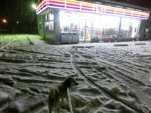 雪 うちの街降ってきました ウインタースポーツエリア雪不足解消できてほしいです 雪 うちの街降ってきました ウインタースポーツエリア雪不足解消できてほしいです