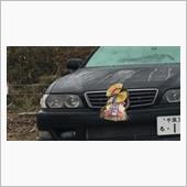 さーて、今週のももちゃんは〜 ...
