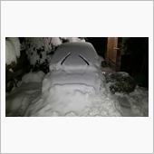 雪の中から発掘完了。