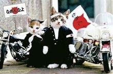 射殺されなかっただけでもいいよね