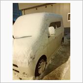 今年初の雪がこれ、、、