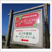 関東クルーズの新春イチゴ狩り ...