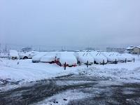 雪が！