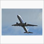 ANAのA321を写しに
