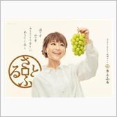 ふるさと納税って‥。