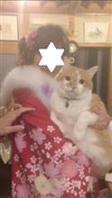 小原庄助の小原庄助的こころ　三つ子の魂百までもについて考える