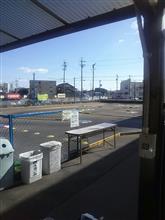 職場懇親会からの岐阜タムタム