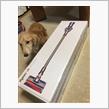 dyson V8 Absolute