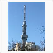 本日はエコー