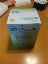 電球の生産終了品を探す。