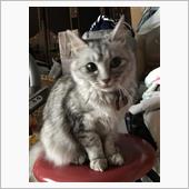四駆❓
