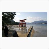 遅い初詣　厳島神社参拝