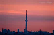 誰も見ない1月2日の日の出とバルコニーの花