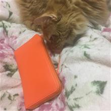 財布変えた。