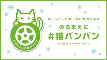 猫バンバン