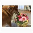 記念日・・・加齢日ともいふ（笑）