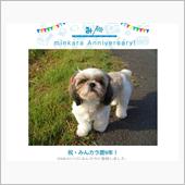 祝・みんカラ歴9年！
