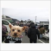 2017年藤枝フリマ①