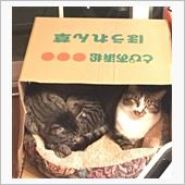 サーモ故障