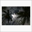今夜の月は「Full Wolf Moon」