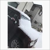 雪❄️