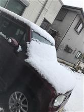 雪❄️
