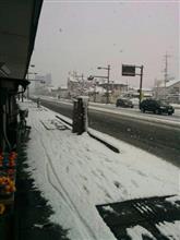 岡山県北部　がっつり雪です