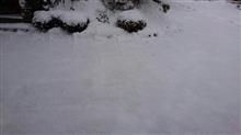 雪掻き２回目