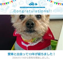チャンと出会って13年！